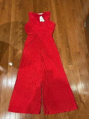 NWT Plisse Surplice Wide Leg Jumpsuit Sz L